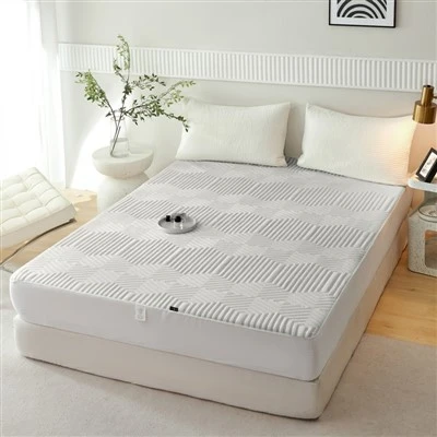 Big Lots Bed Bug Matrashoes Topper Fabriek met ritssluiting