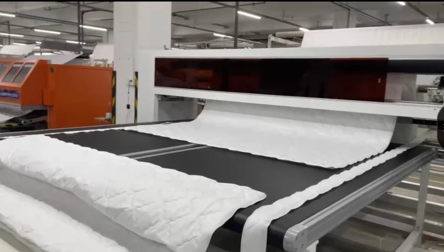 news-869-493 news-869-493